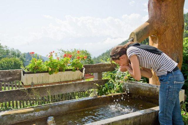 Gapphof Villa Reith bei Seefeld Ngoại thất bức ảnh