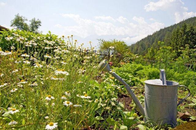 Gapphof Villa Reith bei Seefeld Ngoại thất bức ảnh